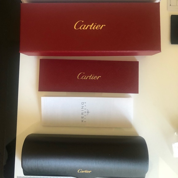 CARTIER CANAZEI CT0048O 002 Glasses - Picture 14 of 16
